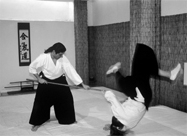 Jo Taijutsu